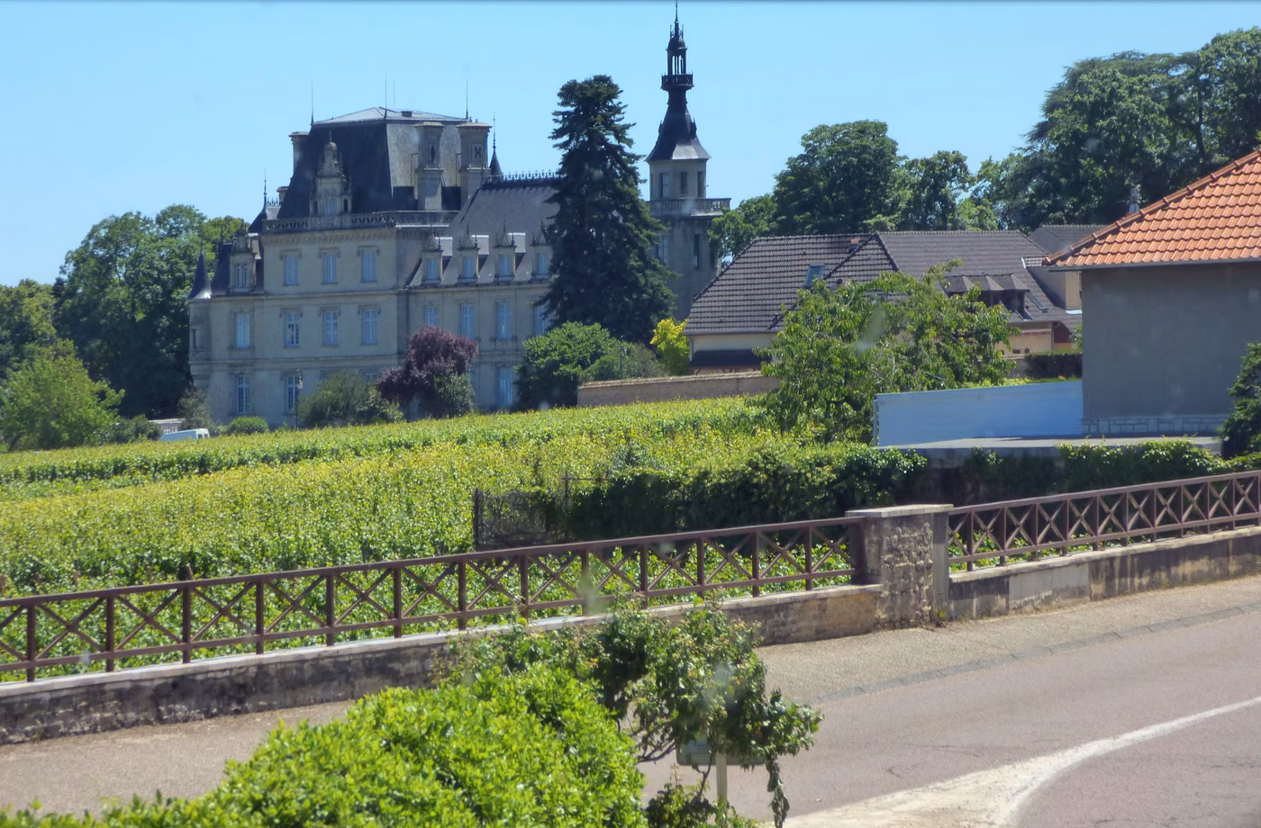 Domaine viticole et vignes sur la Route des Grands Crus