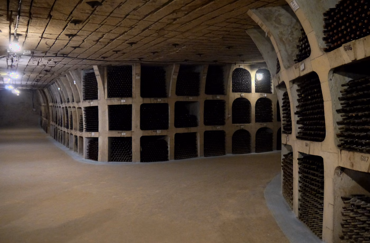 Cave à vin avec bouteilles en vieillissement